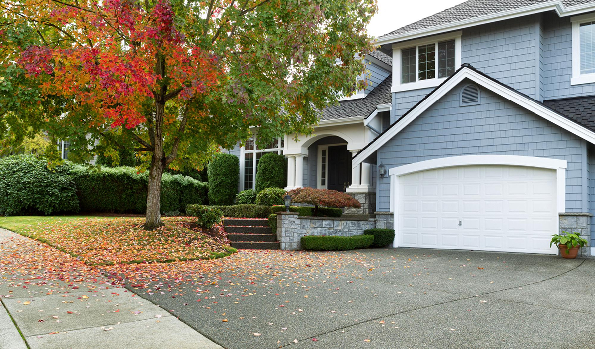 Choosing Asphalt for Your Driveway – What You Need to Know