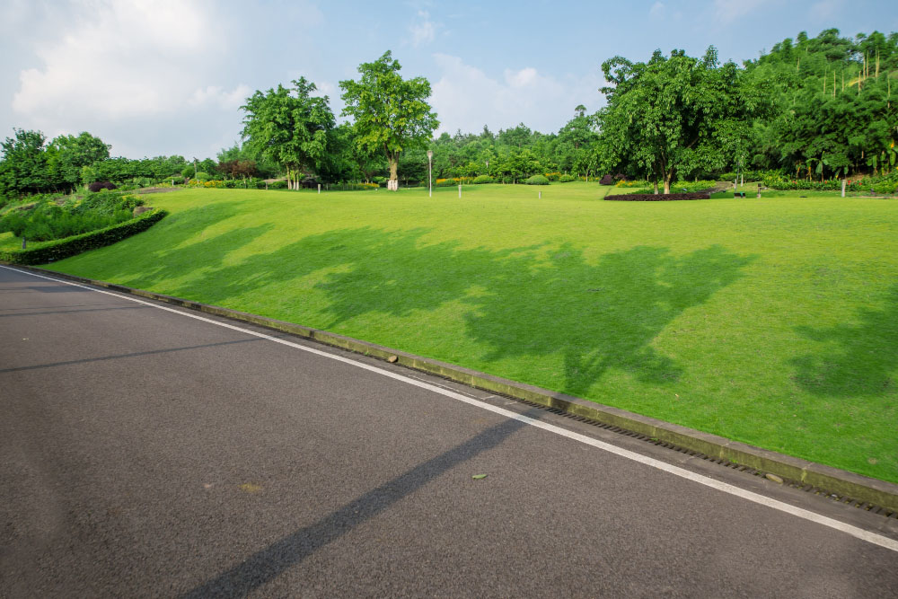 Asphalt vs. Concrete Choosing the Right Material for Your Driveway