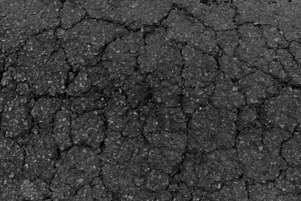 Alligator Cracking: The Silent Killer of Asphalt Surfaces