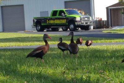 Reliable Pavement Maintenance Inc.